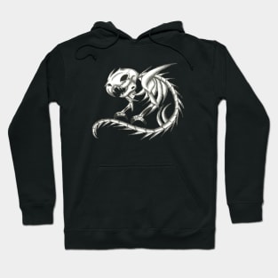 Raxar Hoodie